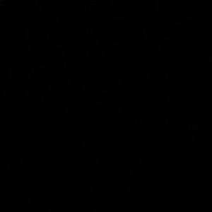 Meet your Posher, Owen